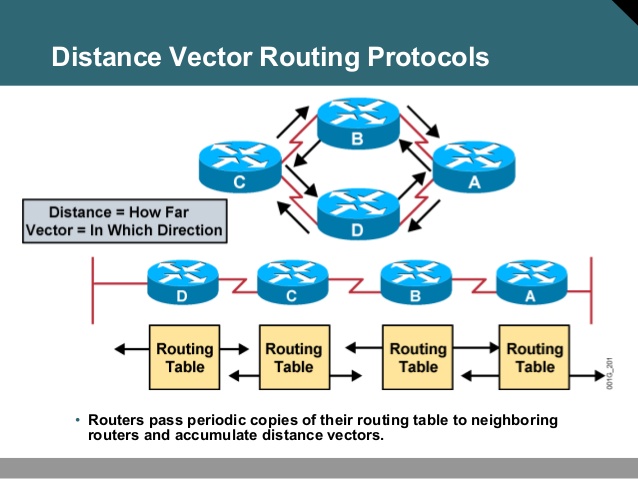 distance vector routing protocol